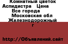 Комнатный цветок Аспидистра › Цена ­ 150 - Все города  »    . Московская обл.,Железнодорожный г.